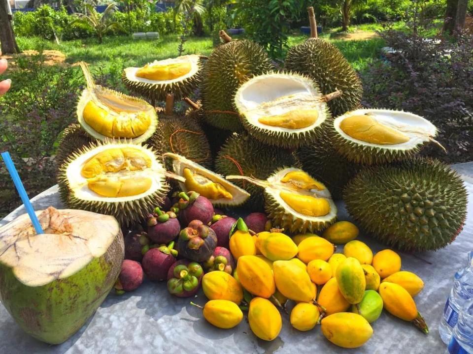 Durian Ecolodge تامبين المظهر الخارجي الصورة